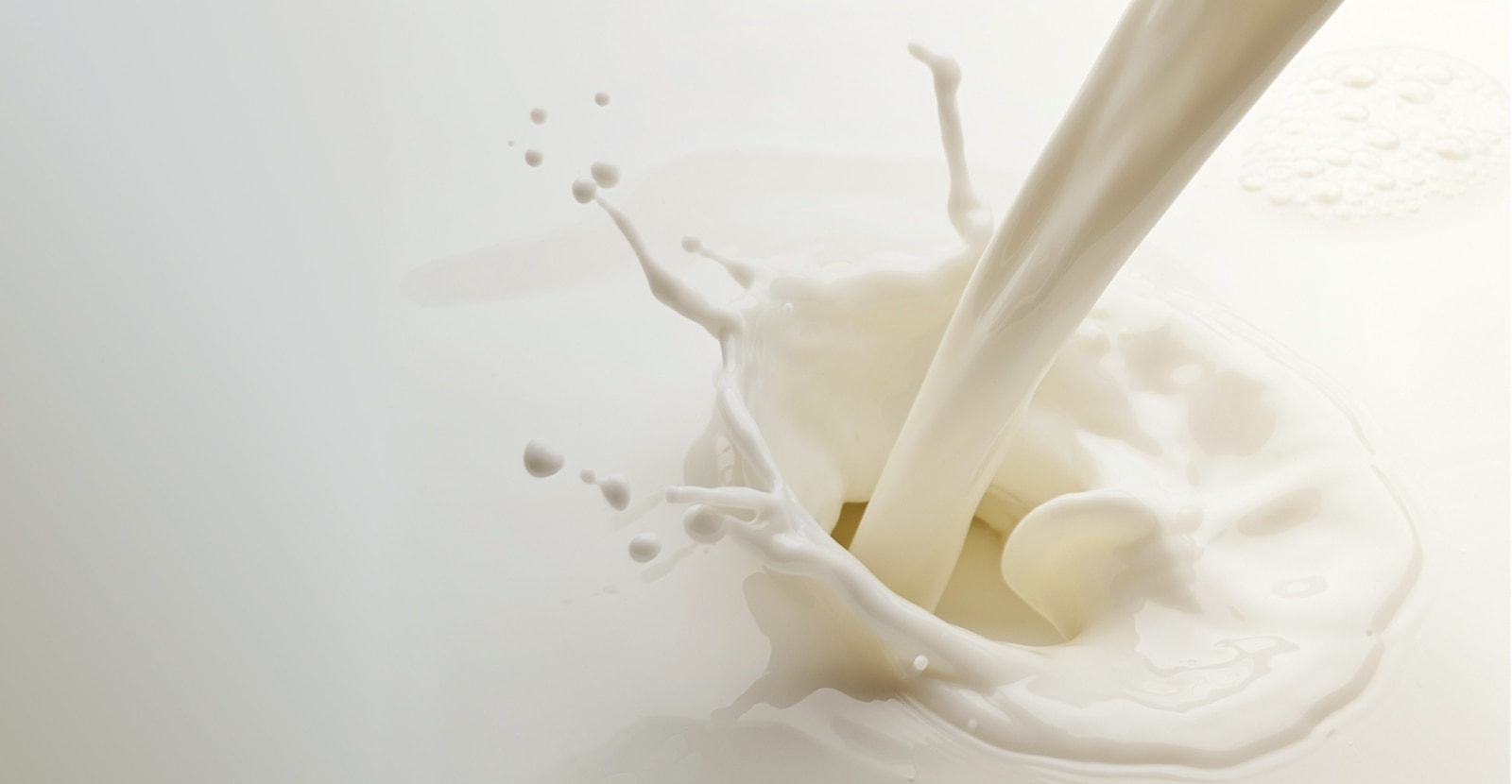 dairy milk banner
